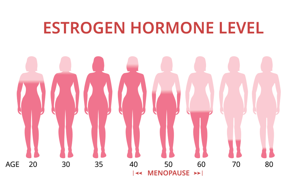 Estrogen Hormone Level