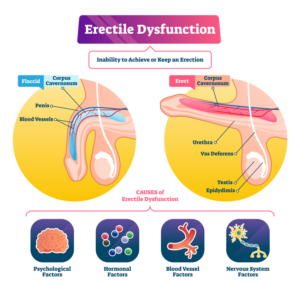 Infertility and Impotence Treatments in Ahmedabad Dr. Parag Shah